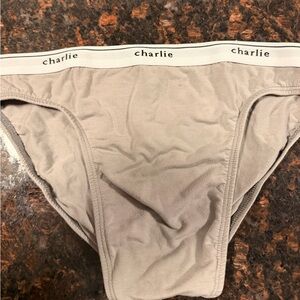 Gray Charlie Briefs minimal line size small